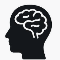 Brain